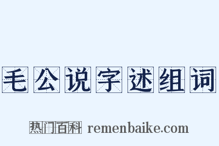 毛公说字述组词是什么意思的图片